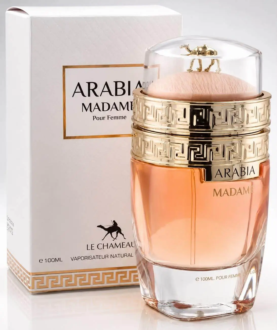 Le chameau Arábica Madame